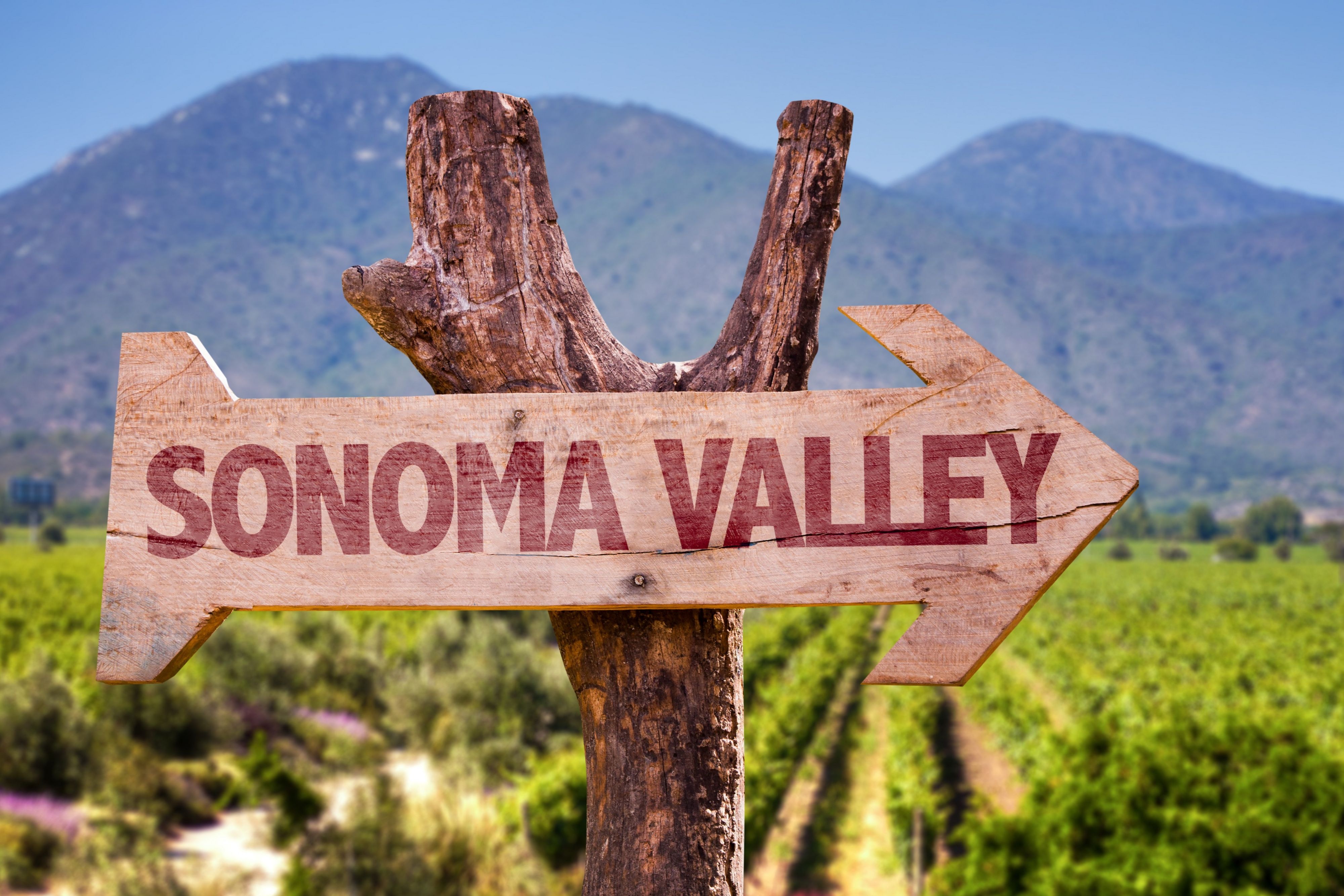 Sonoma Valley sign